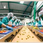 Food Manufacturing Jobs